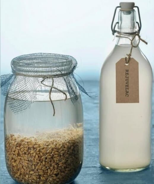 Cuida tu salud intestinal con esta bebida probiótica 