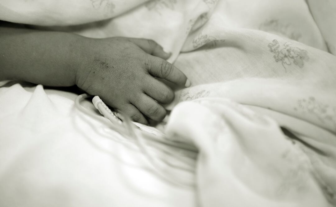 Foto: Archivo EL UNIVERSAL