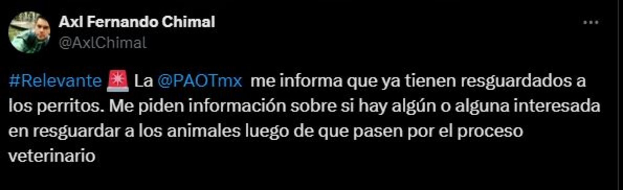 Rescatan a 2 perritos que sufrían maltrato animal en la alcaldía Álvaro Obregón. Foto: Captura de pantalla