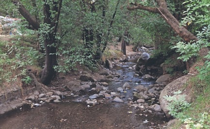 Los pendientes para el rescate del río Magdalena 