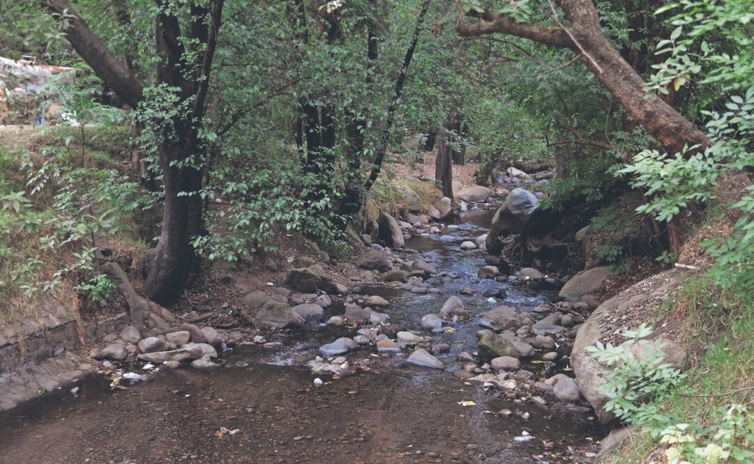 Las aguas del río Magdalena dan trabajo a más de mil 500 comuneros que subsisten de realizar actividades como el senderismo, pesca de truchas, crianza de ajolotes, entre otros. Foto: de Carlos Mejía. El Universal