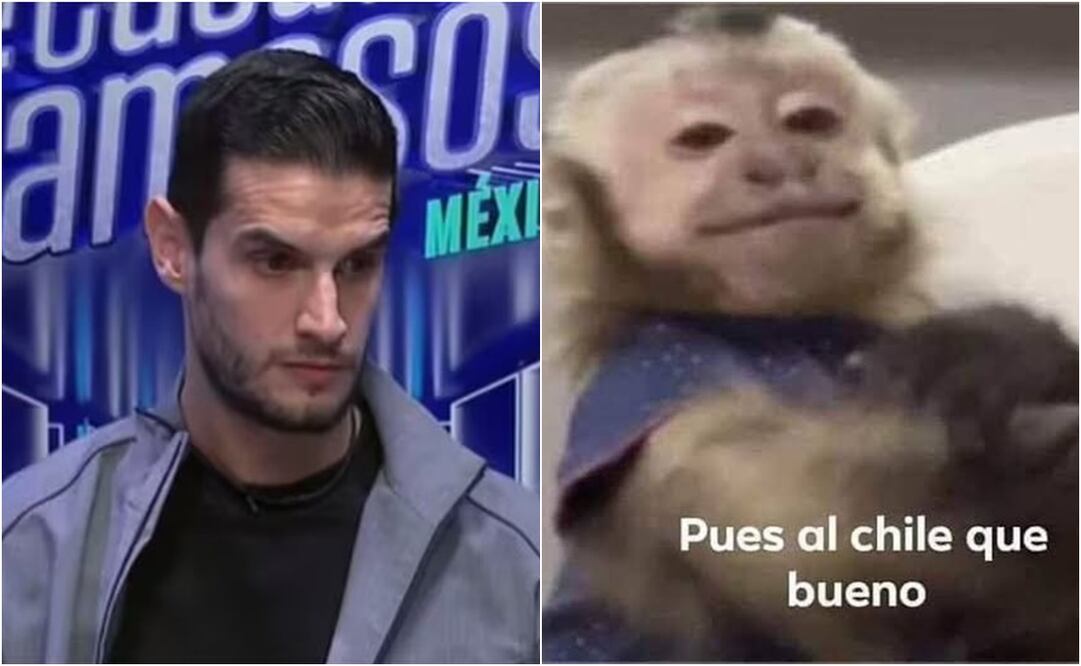 Algunos aseguraron que nadie extrañará al youtuber. Foto: X