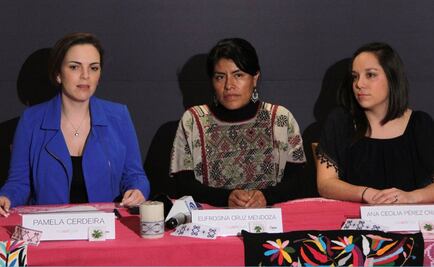 AmArte/Mx, un "reality" de estudiantes y comunidades indígenas