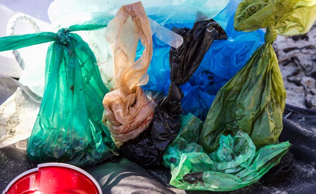 Bolsas de plástico. Foto: Archivo EL UNIVERSAL