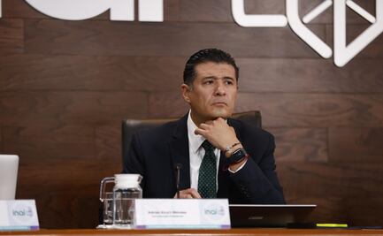 Inai pagará compesaciones a trabajadores de servicio profesional; Buenrostro considera que es legal, explica comisionado