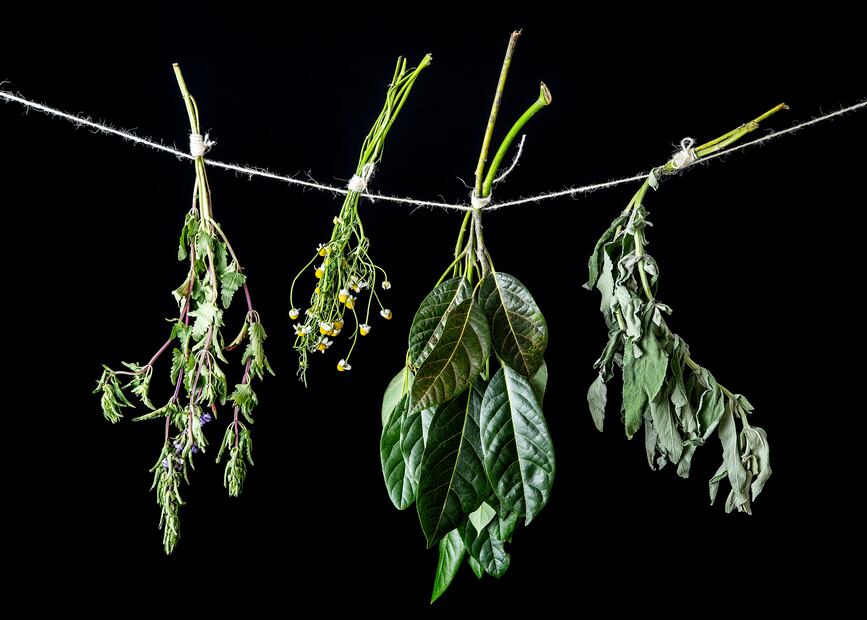 Dale un toque de sabor al agua natural con hierbas frescas.