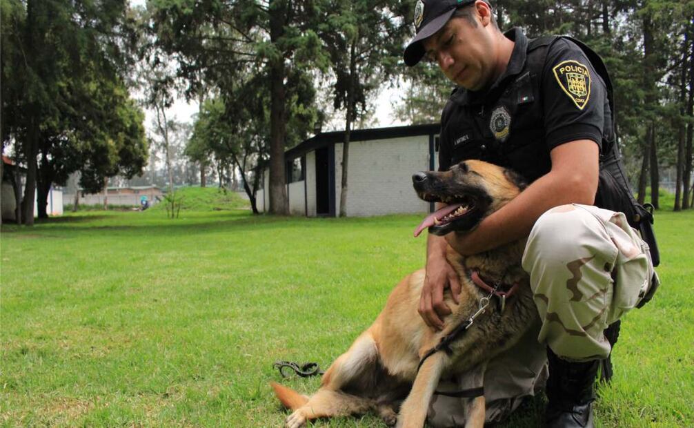 Brigada de Vigilancia Animal rescató más de 250 animales domésticos en 2024 (07/01/2025). Foto: BVA