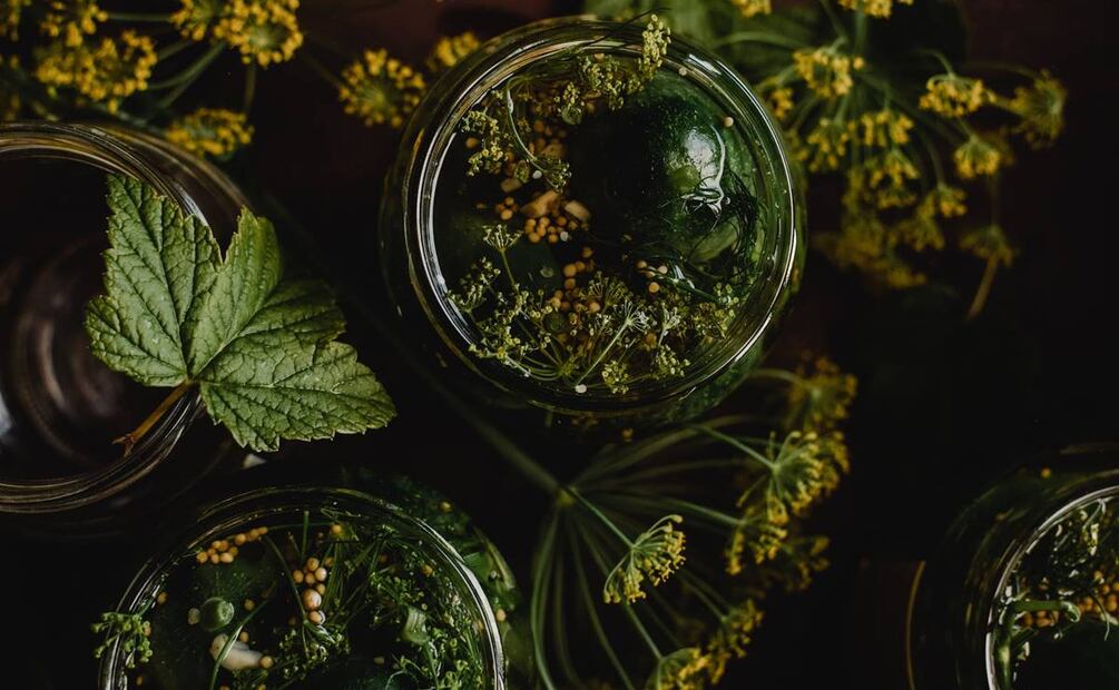 Infusiones para la osteoporosis. Foto: Eva Bronzini / Pexels
