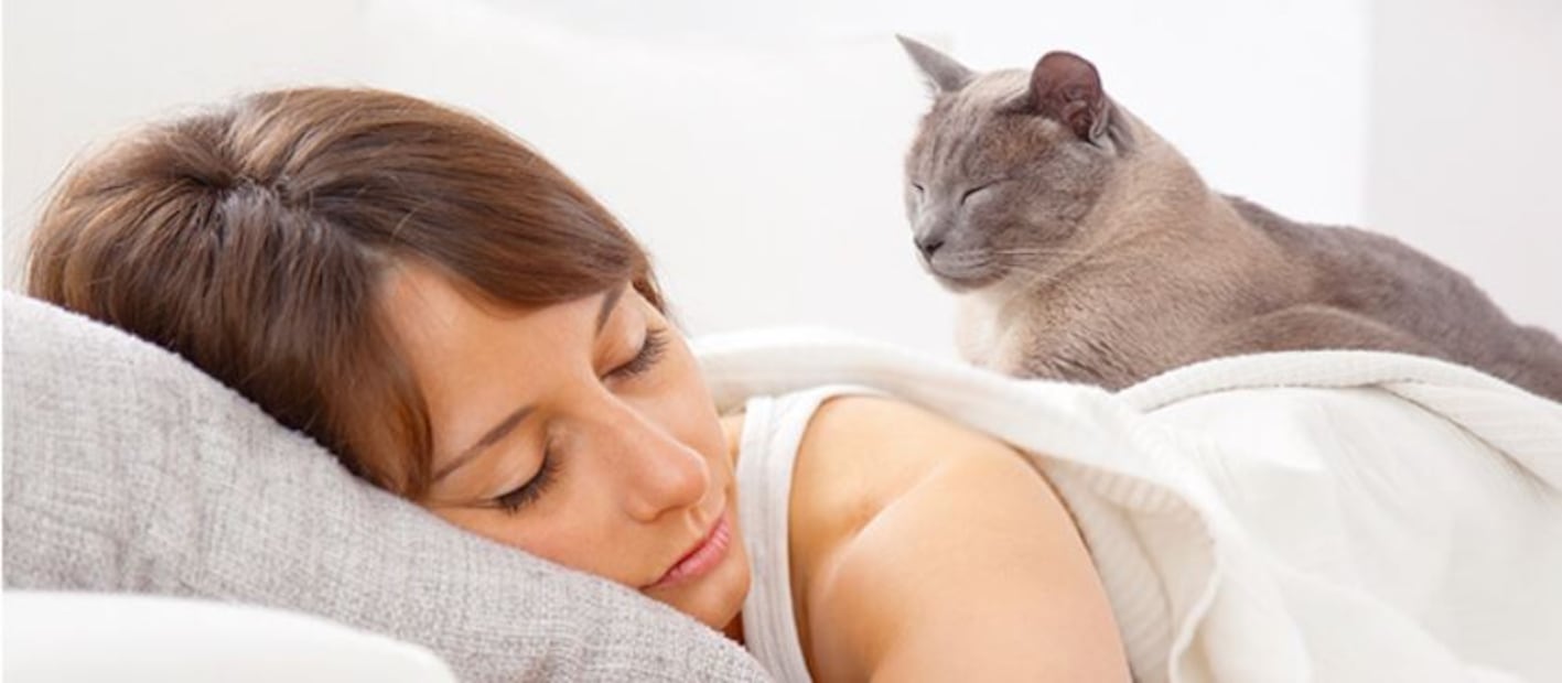 Conocer la conducta de tu gato es importante. Foto: Freepik