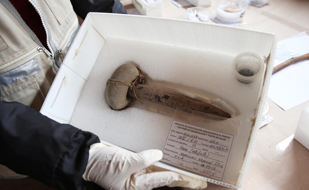 El cactus también tiene importancia para los investigadores porque en el lugar no hay restos de cerámica. (FOTO: Ernesto Arias/ EFE)