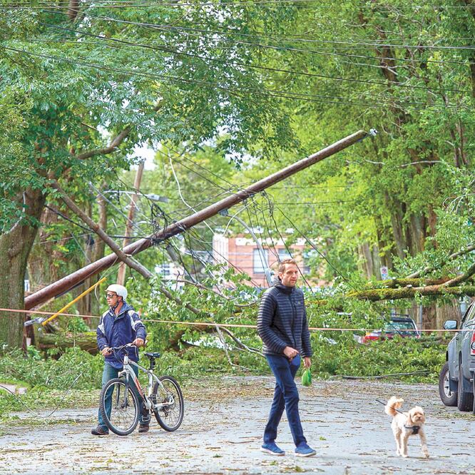 Una calle resultó bloqueada por los árboles caídos que dejó el huracán Dorian al azotar con fuertes lluvias y viento a Nueva Escocia, Canadá. Foto/ANDREW VAUGHAN. AP