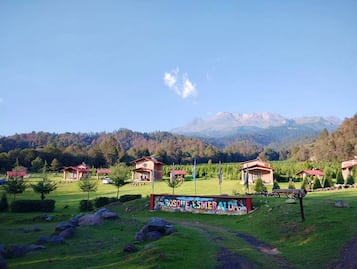 Qué hacer en el parque ecoturístico Bosque Esmeralda en Edomex