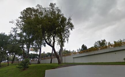 Hallan cuerpo de perro atado a árbol en Churubusco