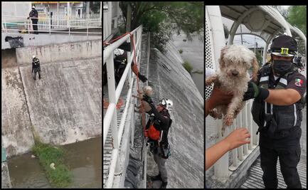 Rescatan a perrito atrapado en canal de desagüe tras lluvias en Nuevo León