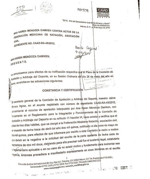 Once desacatos a la autoridad de Federación Mexicana de Natación