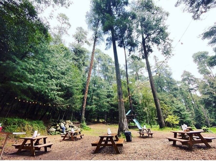 Es como ir a un día de campo pero sin que tengas que preparar nada. Foto: Instagram @desierto_norte