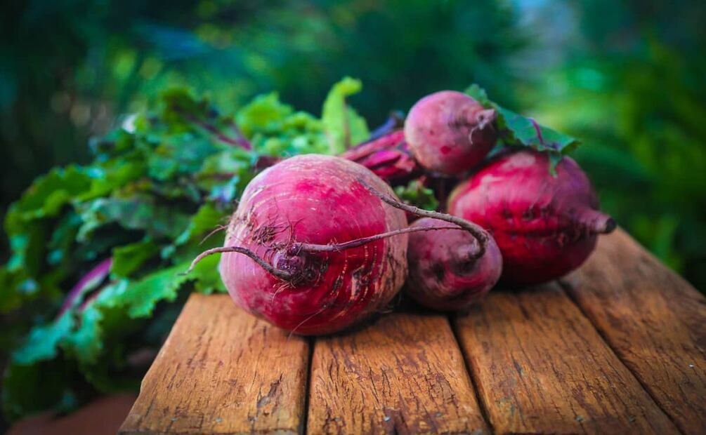 Incluir betabel en tu dieta mejora tu rendimiento físico. Foto: Pixabay.