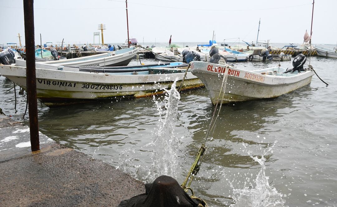 Foto: Archivo / EL UNIVERSAL