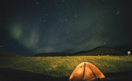 Pasa una noche viendo películas de terror en un bosque de CDMX