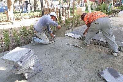 Ve Auditoría anomalías de gasto en Xochimilco
