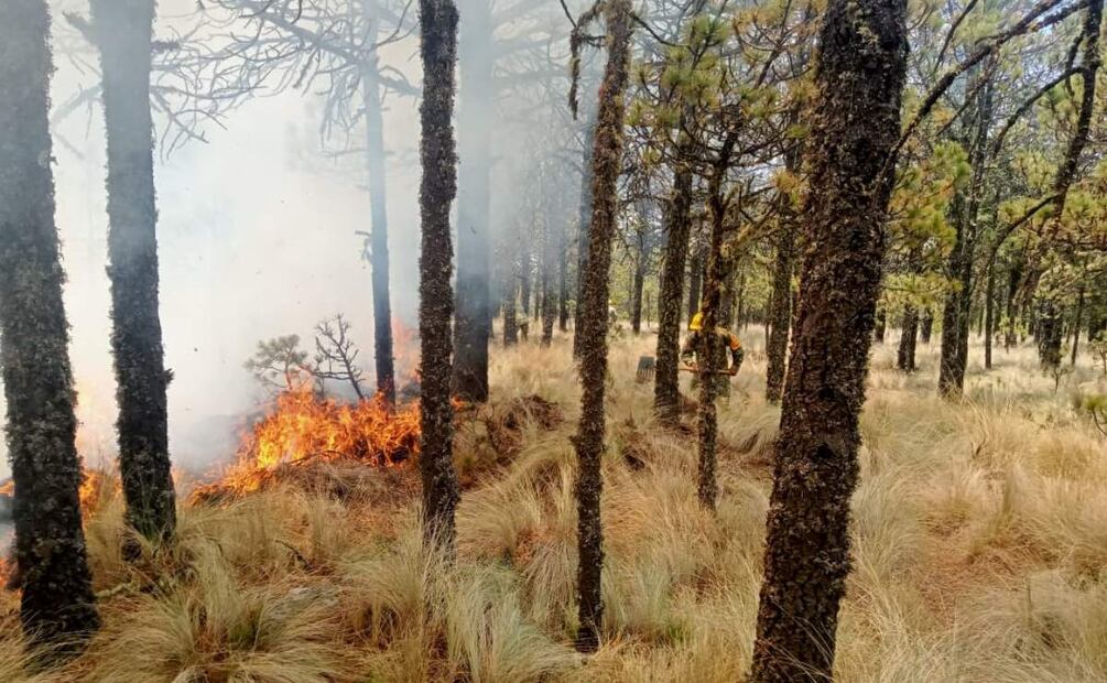 El fuego ha consumido 570 hectáreas de bosque, hojarasca y pastizal (16/04/2025). Foto: Especial