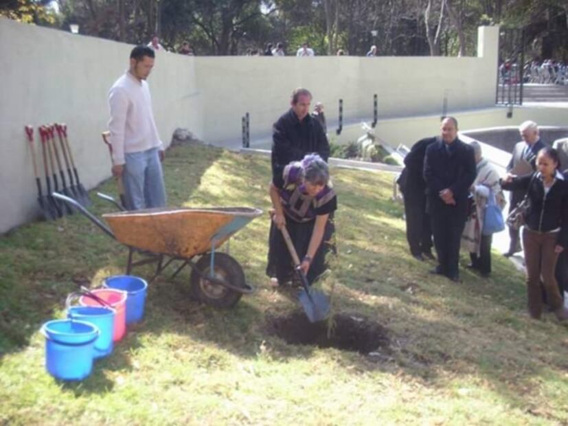 Los viejos gigantes del agua