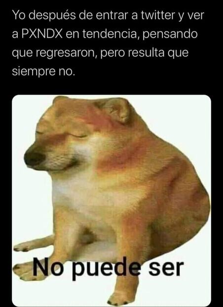 Pxndx emociona a sus fans con ¿posible regreso?