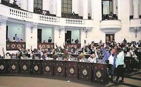Diputados locales de Morena respaldan esfuerzo del Gobierno por la caída de "El Mencho", respaldan a integrantes de las fuerzas armadas