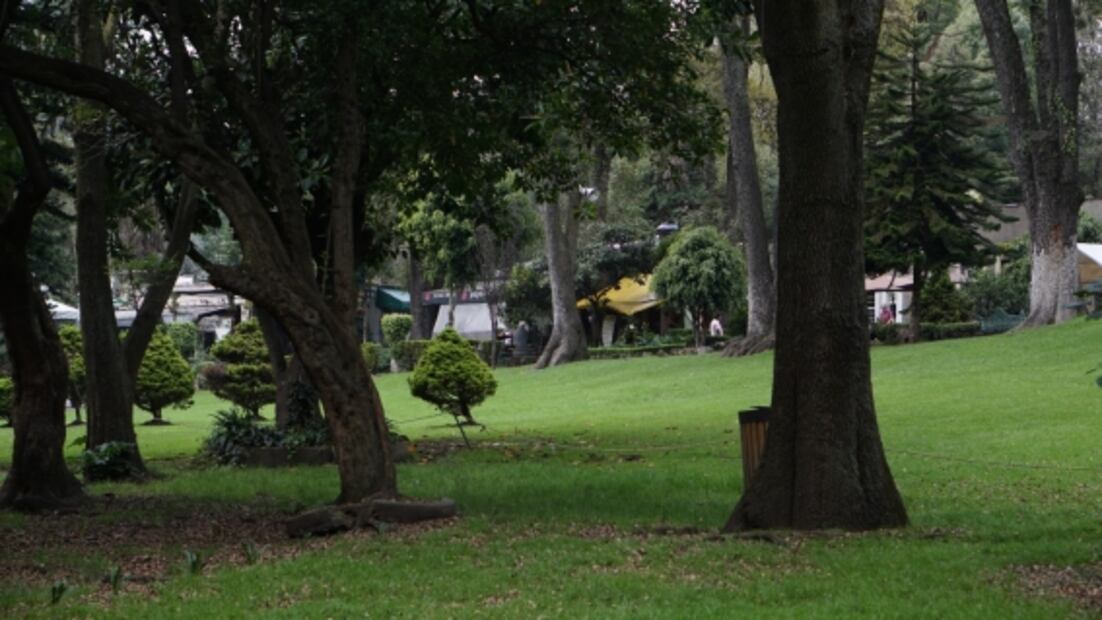 Tlalpan: 7 lugares que tienes que conocer en la alcaldía