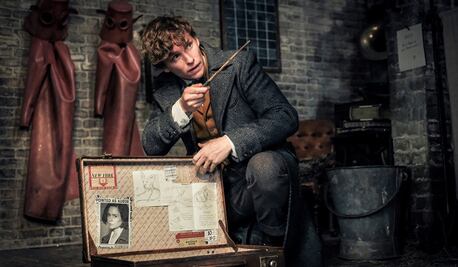 "Animales Fantásticos 3" empezará a rodarse en 2020