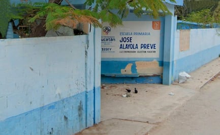 Maestro y 14 niños se intoxican en primaria de Celestún, Yucatán; 4 alumnos son trasladados al hospital