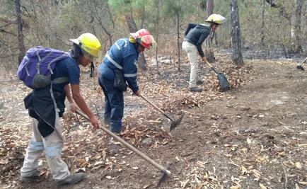 Continúa combate a incendios forestales en municipios de Chiapas