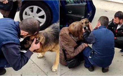 Perro “Dico” se reencuentra con su familia tras 7 años de estar perdido