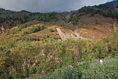 La sierra, 40 años con siembra de opiáceos