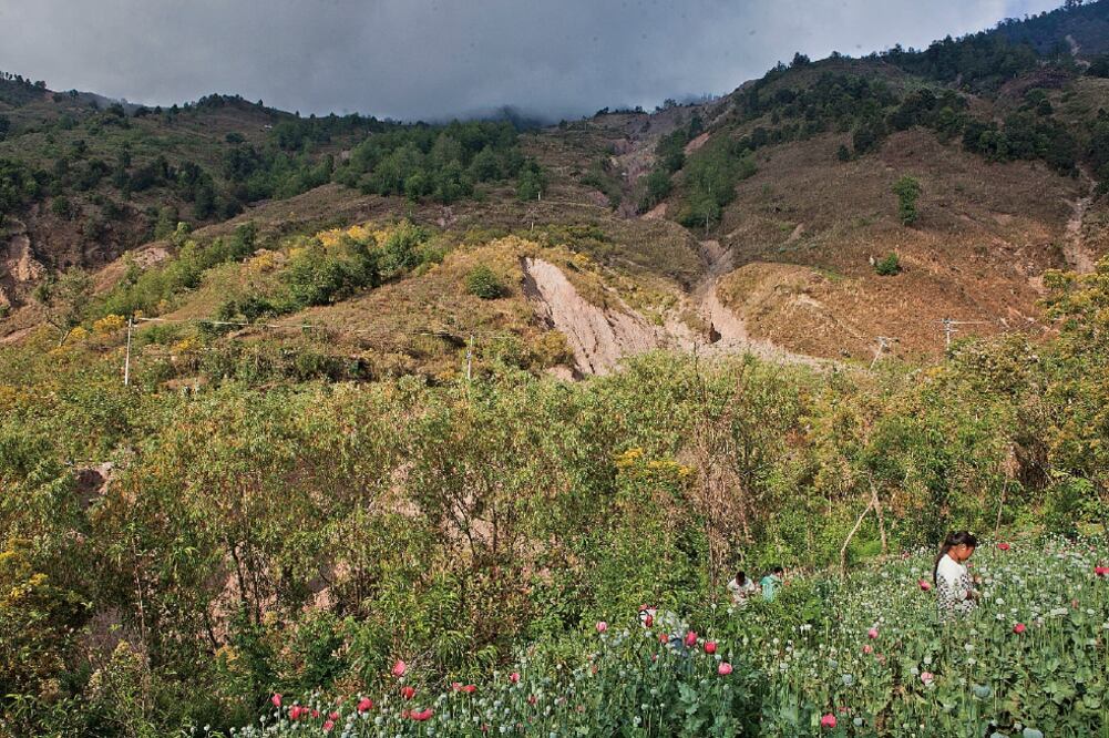 Académicos plantearon a las autoridades estatales dos ejes que podrían impulsar el desarrollo de las comunidades y dejar de lado el cultivo del brote: la instauración de la universidad de la sierra y la formalización de la octava región (CRISTOPHER ROGEL)