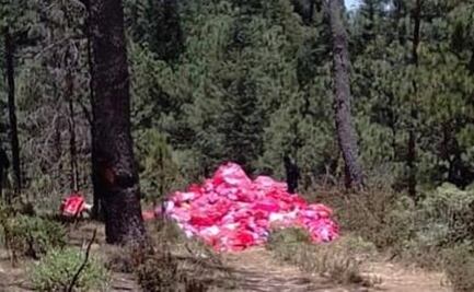 Retiran 2 mil 500 kilos de residuos biológicos abandonados en bosque del Edomex