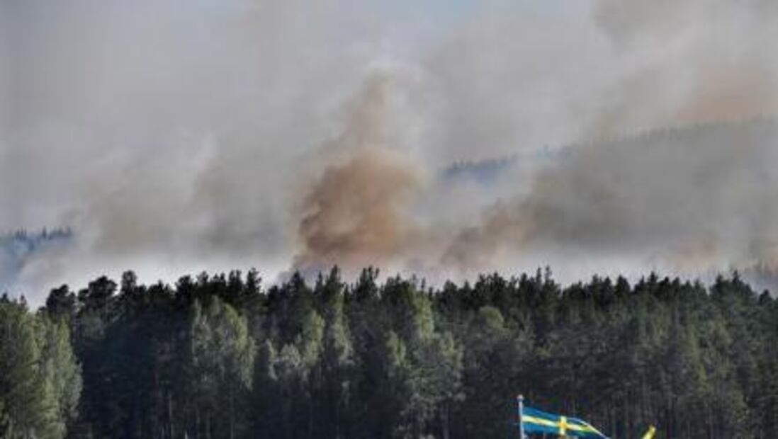 Calor, fuego e inundaciones dejan cientos de muertos y miles de afectados en el mundo