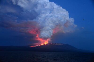 Otro volcán entra en erupción en las islas Galápagos