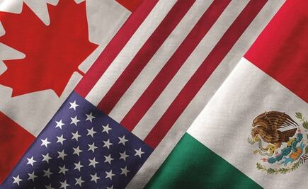 Panelista de disputa T-MEC afirma ser economista con experiencia en reglas  