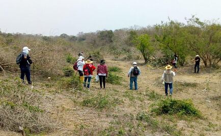 Hallan siete fosas clandestinas en Veracruz; suman 43