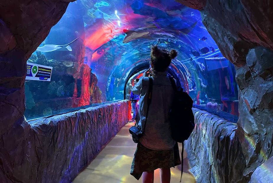 Foto: Omar Moreno. El Universal