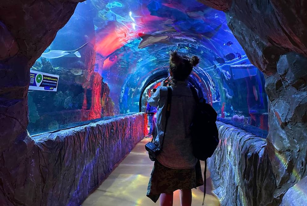 Foto: Omar Moreno. El Universal