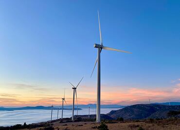 Iberdrola México suministra energía eléctrica 100 % renovable a Millfoods
