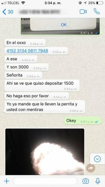 "Quiero 3 mil pesos por dejar libre a tu perrita"
