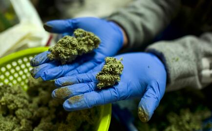 Ciudades demandan a California por permitir venta de marihuana a domicilio