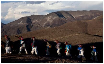 Viajes místicos: de Wirikuta a Nueva Zelanda pasando por Mongolia