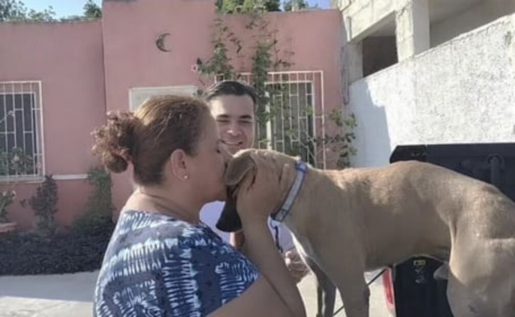 "Chino", perrito rescatado en Chichén Itzá ya fue adoptado