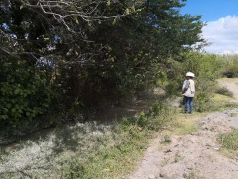 Investigan a minera canadiense por derrame de jales en Oaxaca