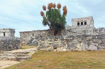 Expectativa por la obra, en Tulum 