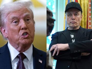 Steve Bannon, exasesor de Trump, pide deportar a Elon Musk; acusa es un inmigrante ilegal y debe ser expulsado